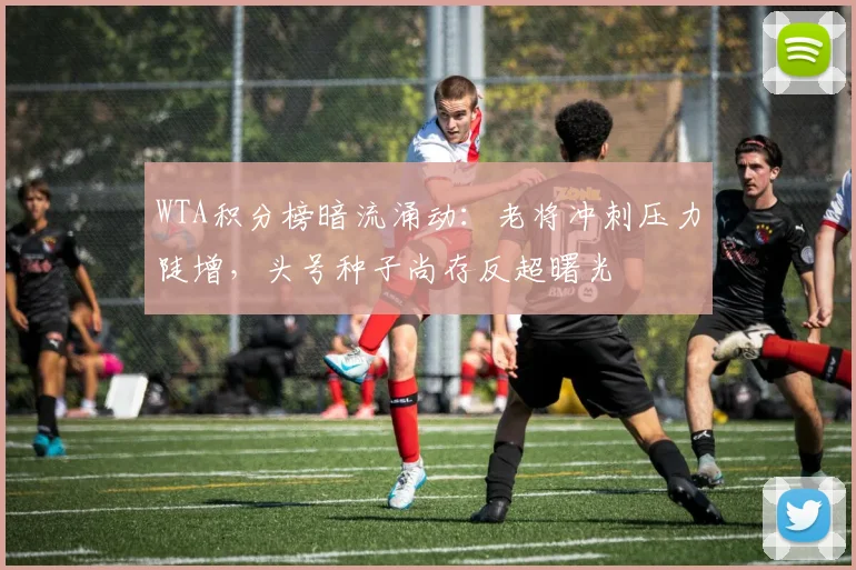 WTA积分榜暗流涌动：老将冲刺压力陡增，头号种子尚存反超曙光