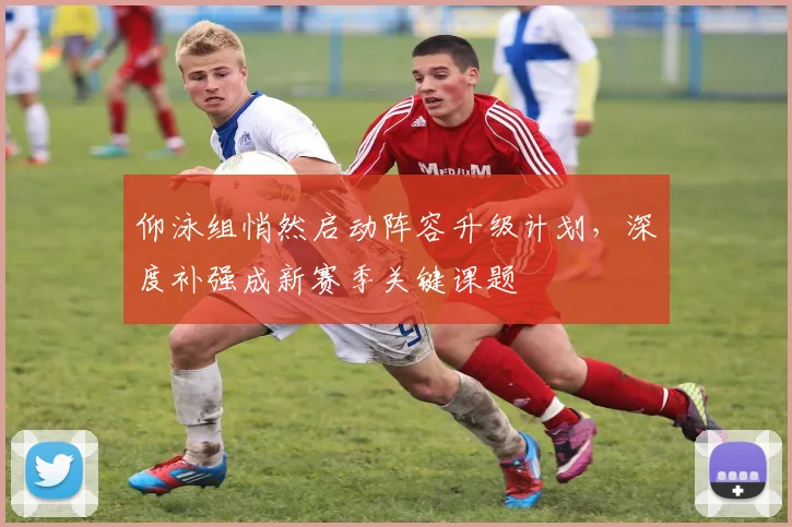 仰泳组悄然启动阵容升级计划，深度补强成新赛季关键课题
