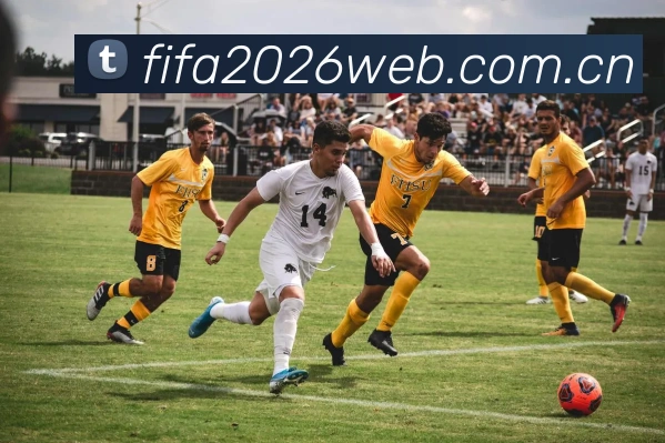 2026世界杯 数据服务中心
